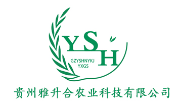 合作客戶